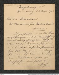 Nachlass Franz Steindachner, Brief von G. Noots an die Direktion des Museums für Naturkunde (24.05.1906), Inv.Nr. 369.01, Seite 1